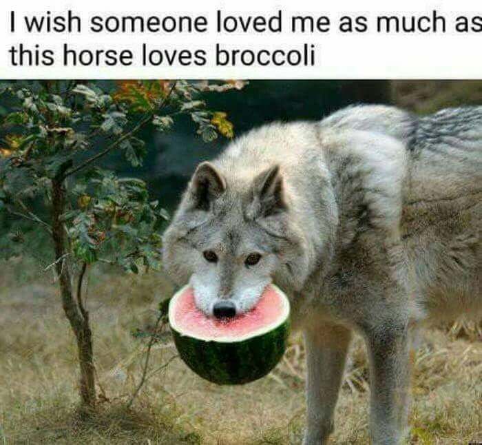 Horse_Broccoli